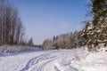 Ski track on the snow field. Beautiful winter landscape. The edge of the forest with rows of trees evergreens