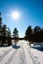 Ski tracks Royalty Free Stock Photo