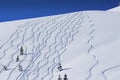 Ski tracks Royalty Free Stock Photo