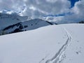 Ski tracks in idyllic winter landscape in the Austrian Alps. Bregenzerwald, Vorarlberg. Royalty Free Stock Photo