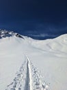 ski tracks on mountain bulenhorn monstein davos. beautiful deep snow descent in the snow. Ski touring in the mountains.