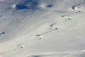 Ski tracks in the powder snow Royalty Free Stock Photo
