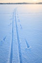 Ski tracks snow lake Royalty Free Stock Photo