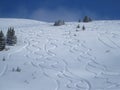 Ski tracks in Switzerland Royalty Free Stock Photo