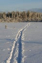 Ski Tracks on Unbeaten Snow