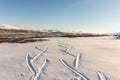 Ski tracks in winter mountains in Dovre, Norway. Royalty Free Stock Photo
