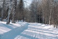 Ski trail in the forest. Traasa in the winter forest. The road for walking through the winter forest. Taiga in the winter. Tracks Royalty Free Stock Photo