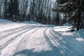 Ski trail in the forest. Traasa in the winter forest. The road for walking through the winter forest. Taiga in the winter. Tracks Royalty Free Stock Photo