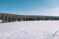 Ski trail in the forest. Traasa in the winter forest. The road for walking through the winter forest. Taiga in the winter. Tracks Royalty Free Stock Photo