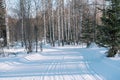 Ski trail in the forest. Traasa in the winter forest. The road for walking through the winter forest. Taiga in the winter. Tracks Royalty Free Stock Photo