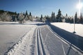 Ski trails