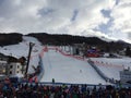 Ski world cup in Bormio Royalty Free Stock Photo