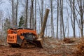 Skid-steer loader clearing tree root and brush in forest Royalty Free Stock Photo