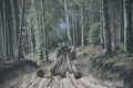 Skidding timber / Tractor is skidding cut trees Royalty Free Stock Photo