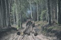 Skidding timber / Tractor is skidding cut trees