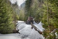 Skidding timber / Tractor is skidding cut trees out of the forest