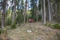 Skidding timber / Tractor is skidding cut trees out of the forest