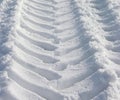 The skidmark in the snow Royalty Free Stock Photo