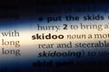 skidoo