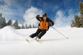 Skier Royalty Free Stock Photo