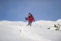 Skier in action skiing