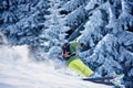 Skier backpacker skiing down on slope, raising blizzard snow powder. Picturesque forest scenery on blurred background. Royalty Free Stock Photo