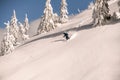 skier descending down the snowy hill on splitboard and shredding powder snow.