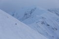 skier descends a difficult freeride route among rocks and trees