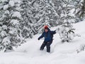 Skier down throw forest and snow