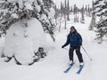 Skier down throw forest and snow