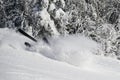 Skier falling on the slope on fresh powder snow Royalty Free Stock Photo