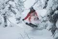 Skier freerider jumping from a snow ramp in the sun on a background of forest and mountains Royalty Free Stock Photo