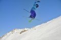 Skier Royalty Free Stock Photo
