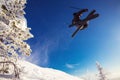 Skier jumps in fresh snow freeride in mountains against background forest. Extreme sport concept Royalty Free Stock Photo