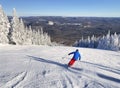 Skier in Mont Tremblant summit, Quebec Royalty Free Stock Photo