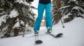 Skier in motion on snow covered forest trail, snow covered pine trees surrounding Royalty Free Stock Photo