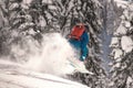 Skier rides at off-piste ski slope in forest