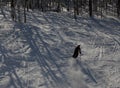 Skier riding fast leaving snow dust behind him Royalty Free Stock Photo