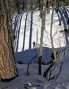 Ski holidays on the slopes of the Italian Alps