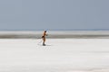 Skier shirtless runs on the frozen ice of the Ob reservoir