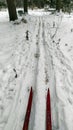 Skier on a ski run. Ski tracks in the snow in the forest