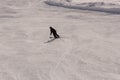 Skier skiing down the slope in a beautiful sunny day, Oberstdorf