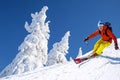 Skier skiing downhill in high mountains against against the fairytale winter forest Royalty Free Stock Photo