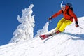 Skier skiing downhill in high mountains against against the fairytale winter forest Royalty Free Stock Photo