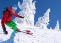 Skier skiing downhill in high mountains against against the fairytale winter forest Royalty Free Stock Photo