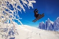 Skier skiing downhill jump during sunny day fresh snow freeride. Extreme High speed, frosty dust scatters Royalty Free Stock Photo