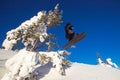 Skier skiing downhill jump during sunny day fresh snow freeride. Extreme High speed, frosty dust scatters Royalty Free Stock Photo