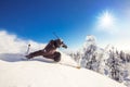 Skier skiing downhill during sunny day fresh snow freeride. Extreme High speed, frosty dust scatters Royalty Free Stock Photo