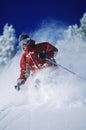 Skier Skiing In Powder Snow Royalty Free Stock Photo