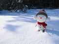 Skier with skis on white snow - winter background Royalty Free Stock Photo